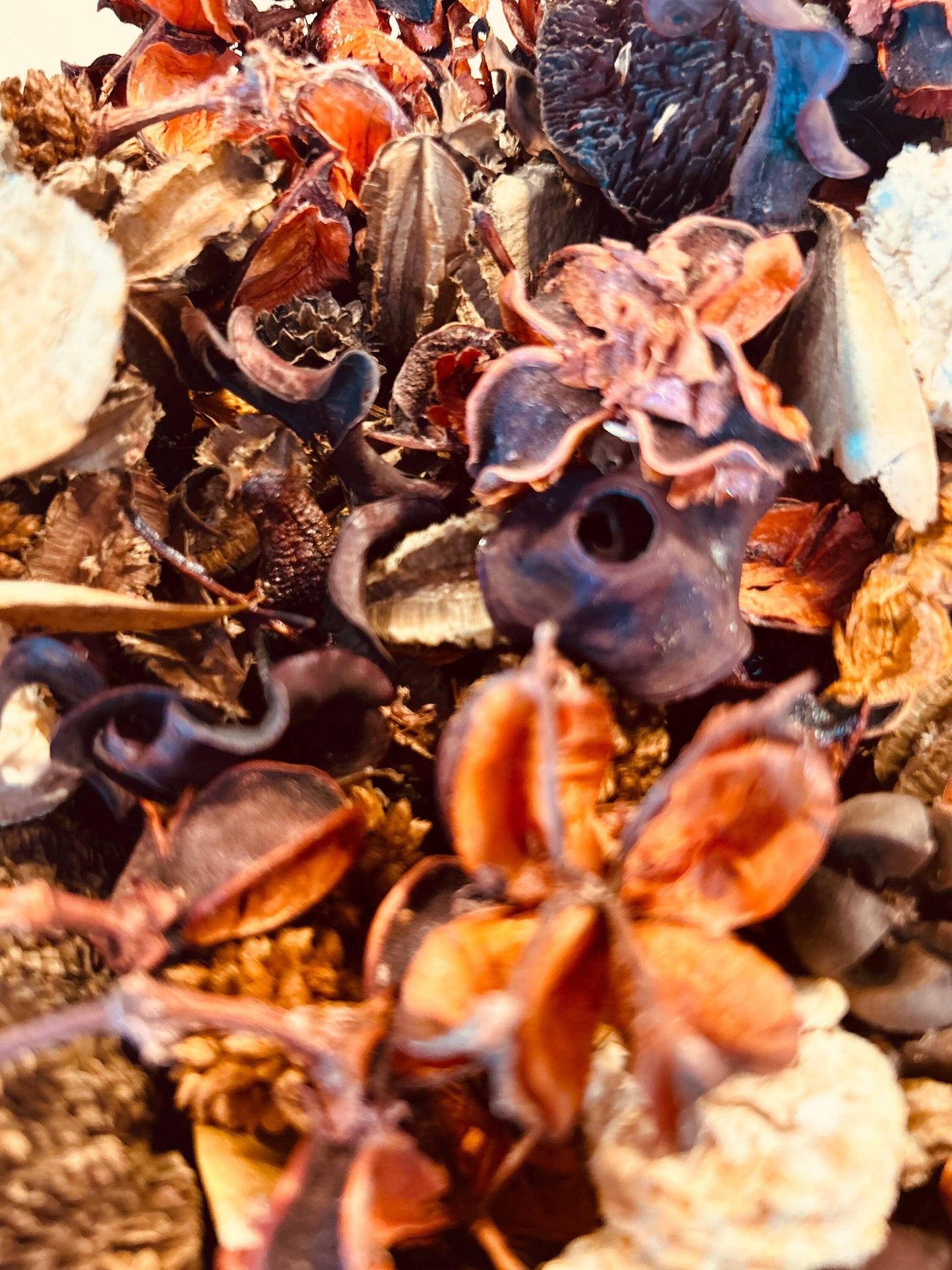 Pumpkin Butter Potpourri