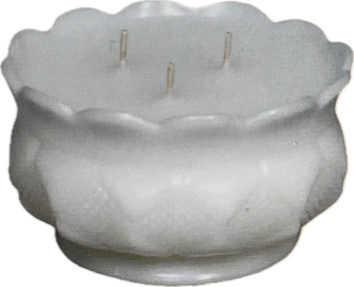 🕯️ Floating Berry Bowl – Triple Wick Sculpted Wax Candle